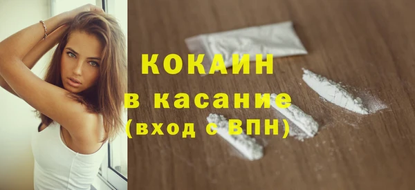 прущие грибы Лихославль
