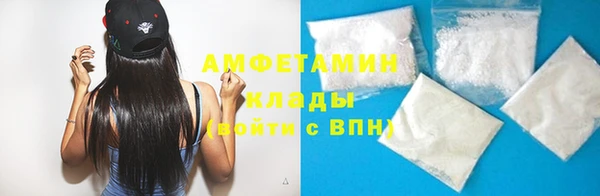 шишки Долгопрудный