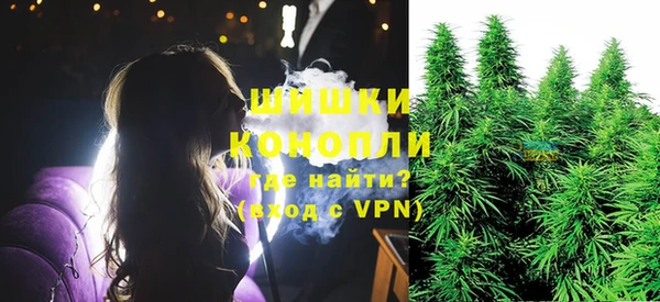 ECSTASY Липки