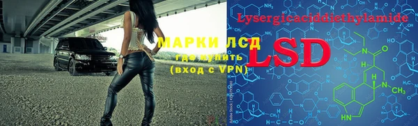 прущие грибы Лихославль