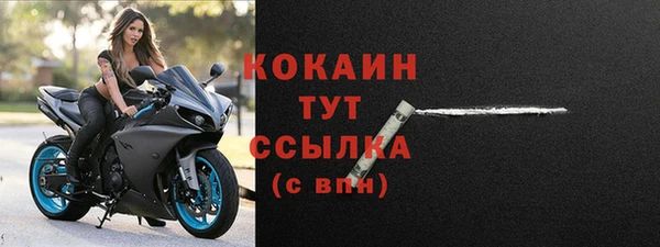 прущие грибы Лихославль