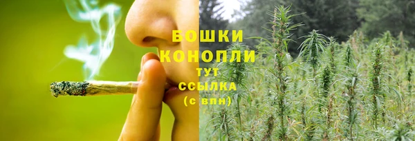 ECSTASY Липки